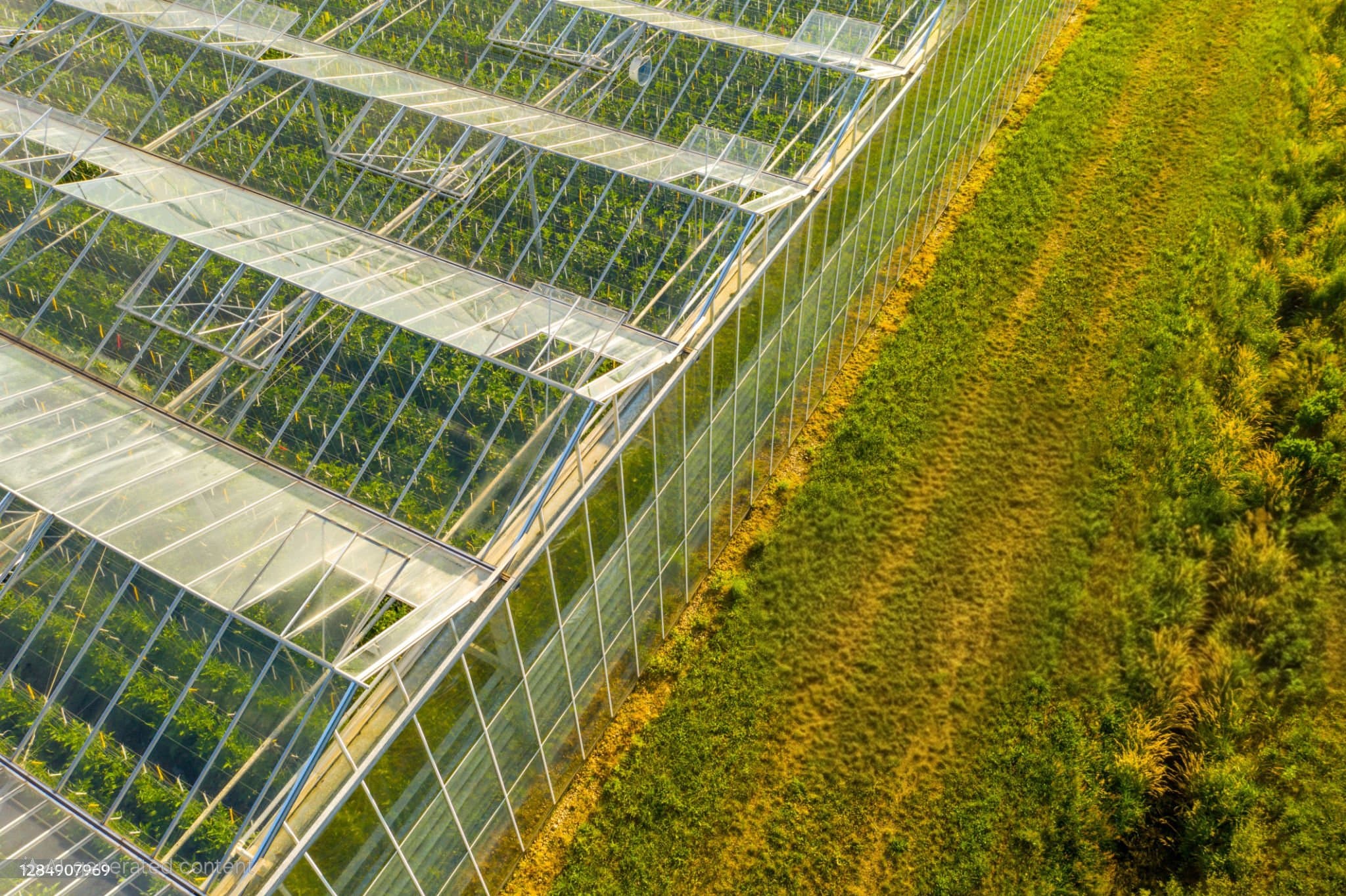 Mavuno AI Analytics Interface